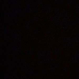 Meet your Posher, Randall